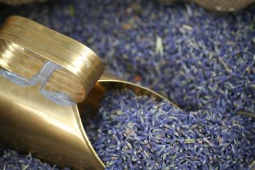 Lavendel - Aromakunde