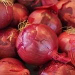 roter Zwiebel