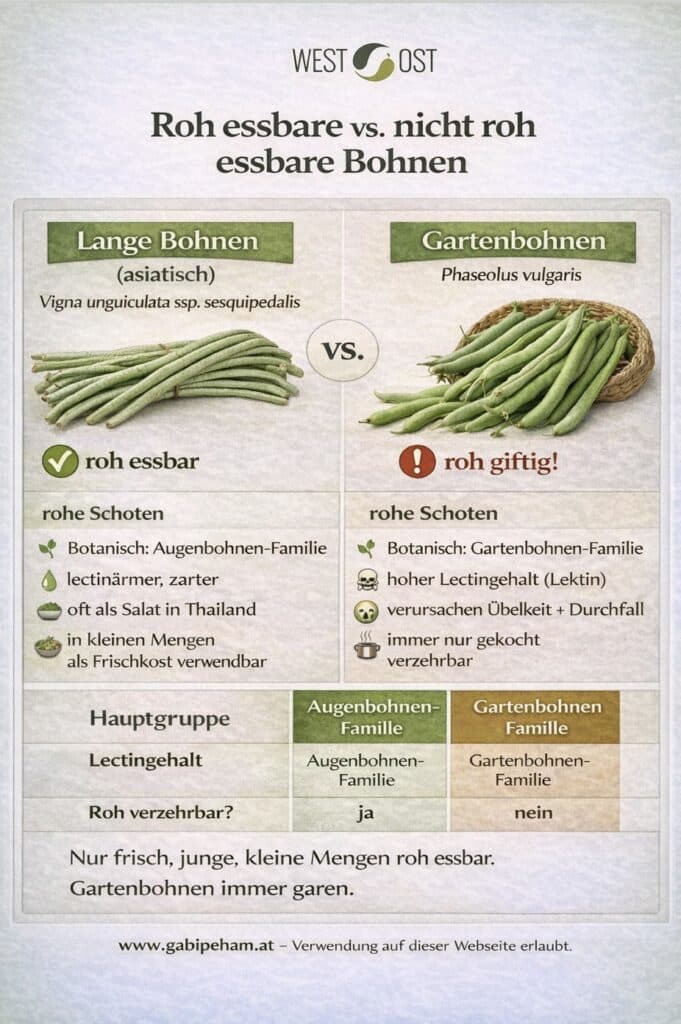 Phaseolus vulgaris versus Vigna unguiculata
